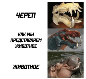 Screenshot 20201226 112316~2