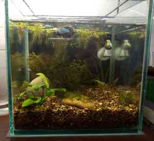 IMG 20210325 105732~2