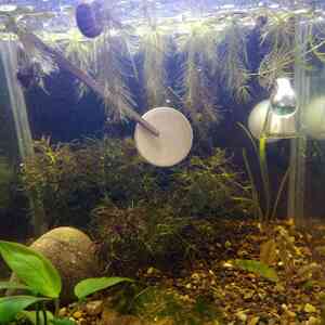 IMG 20210326 134412~2