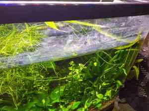 стекла стекла