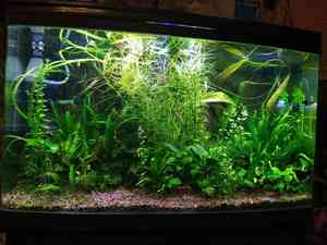 общий вид 02.07 общий вид 02.07