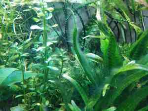 IMG 20200714 112940 1