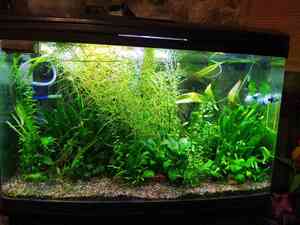 IMG 20200714 120736 1