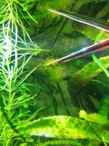 IMG 20200714 120437 1