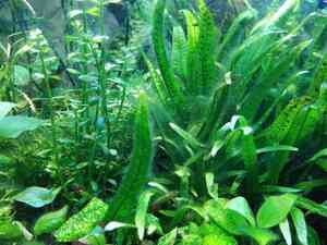 IMG 20200714 120213 1