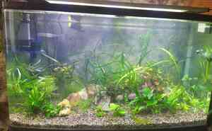 IMG 20200720 085645~2 IMG 20200720 085645~2