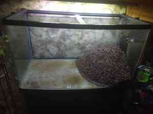 перемыла грунт