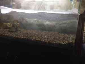 заливка воды