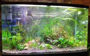 IMG 20200721 224343 1