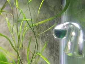 IMG 20200723 134711 1