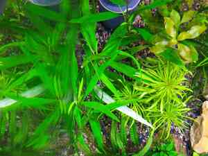 IMG 20200723 134823 1