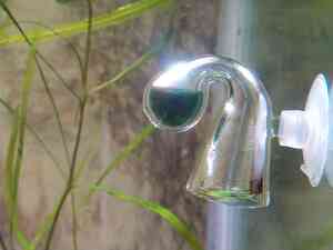 IMG 20200727 114532 IMG 20200727 114532