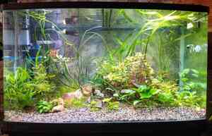 IMG 20200727 113859~2 IMG 20200727 113859~2