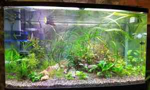 IMG 20200721 224343 1~2 IMG 20200721 224343 1~2