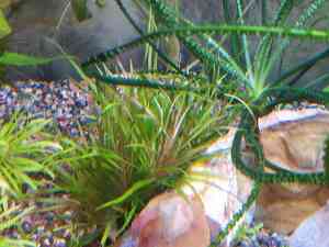 IMG 20200727 114406 IMG 20200727 114406