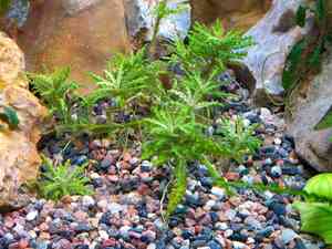 IMG 20200727 114322 IMG 20200727 114322