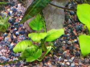 IMG 20200727 114253 IMG 20200727 114253