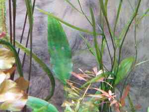 IMG 20200727 114503 IMG 20200727 114503