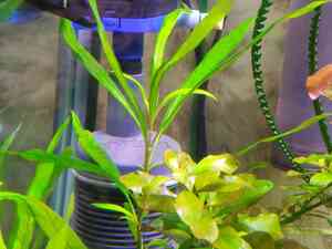 IMG 20200727 114422 IMG 20200727 114422