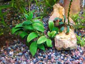 IMG 20200727 113932 IMG 20200727 113932