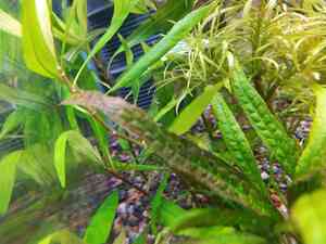 IMG 20200727 113948 IMG 20200727 113948