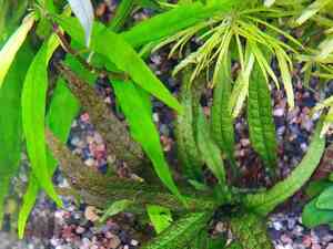 IMG 20200727 114113 IMG 20200727 114113