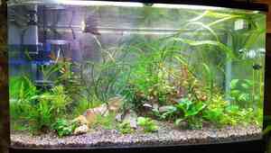 IMG 20200721 224343 1 IMG 20200721 224343 1