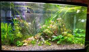 общий 02 8 общий 02 8