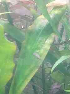 IMG 20201203 131622 IMG 20201203 131622