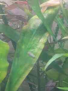 IMG 20201203 131614 IMG 20201203 131614