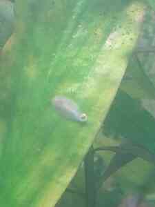 IMG 20201203 131556 IMG 20201203 131556