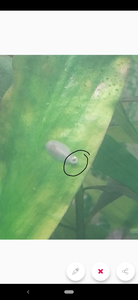 Screenshot 20201203 143710 Screenshot 20201203 143710