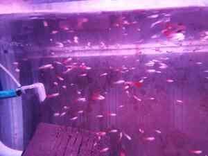 IMG 20200906 182619