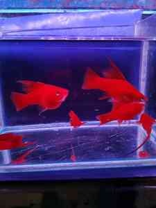 IMG 20200828 185249