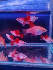 IMG 20200830 130345
