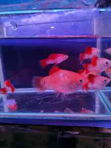 IMG 20200830 130408
