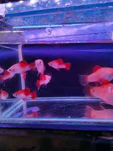IMG 20200830 130519