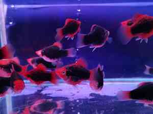 IMG 20200901 163805