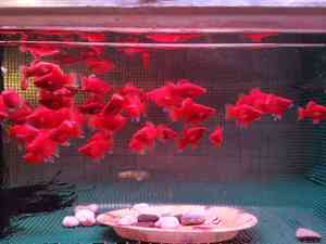 IMG 20200910 153609