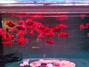 IMG 20200910 153612