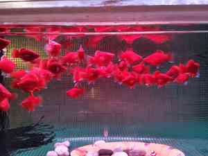 IMG 20200910 153618