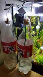 WhatsApp Image 2021 01 31 at 13.49.56
