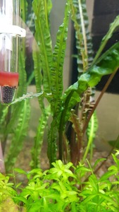 photo 2021 02 07 12 36 29