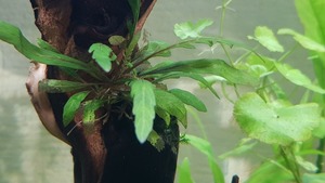 photo 2021 02 07 12 36 28