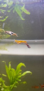 photo 2021 02 07 14 00 51