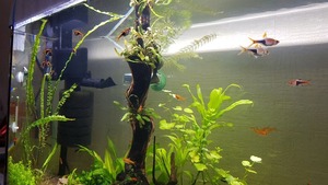 photo 2021 02 07 14 22 06 (2)