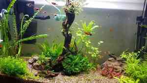 photo 2021 02 07 14 22 06