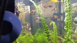 photo 2021 02 07 14 39 15