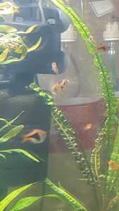 WhatsApp Image 2021 02 07 at 14.59.10 (2)