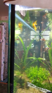 photo 2021 02 07 15 14 44